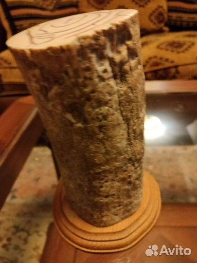 Изделие из бивня мамонта