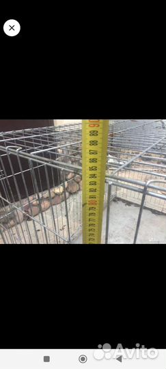 Вольер для собак