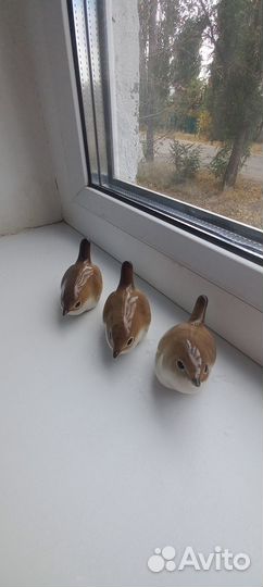 Воробьи лфз-3 шт