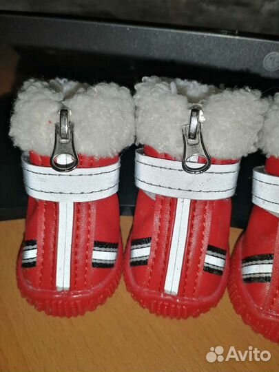 Ботинки для маленьких собак