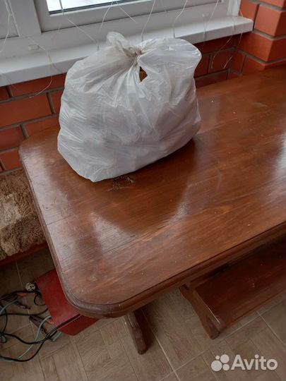 Семенной картофель