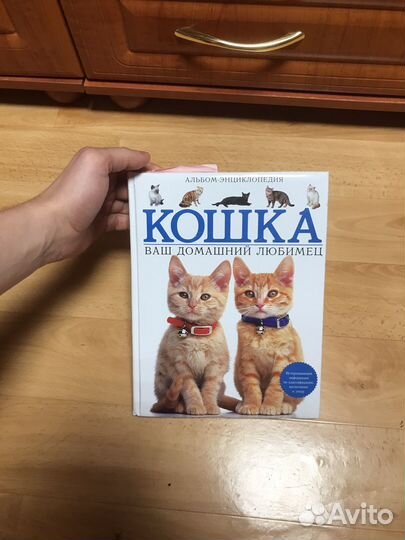 Альбом энциклопедия кошка ваш домашний любимец