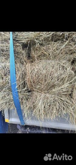 Сено суданка в тюках с доставкой