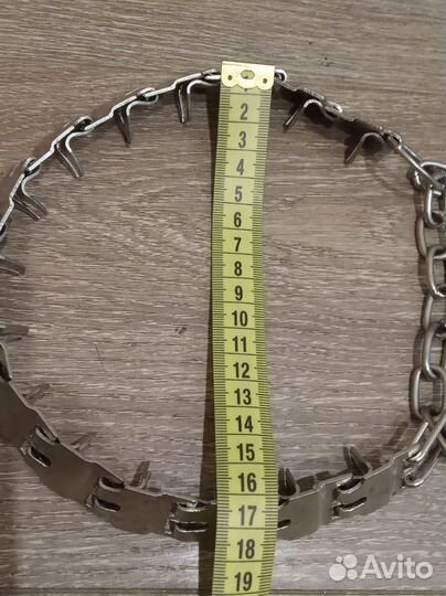 Строгий ошейник