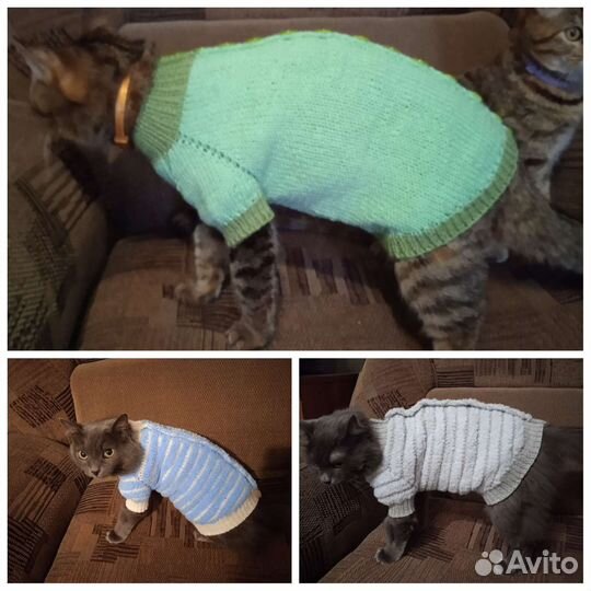 Одежда для животных