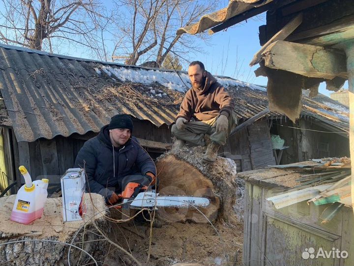 Покос травы и кустарников. Уборка участка. Спилить