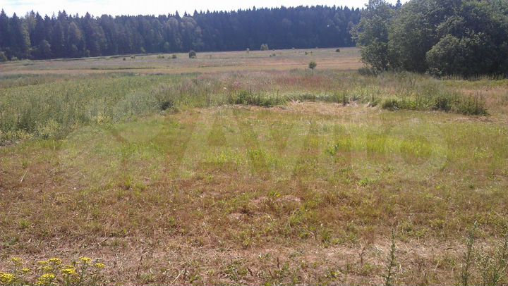 Участок 15 сот. (ИЖС)