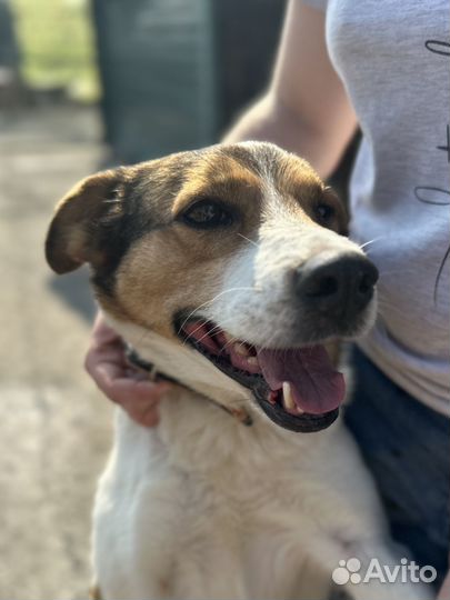 Ласковая девочка из приюта с больным глазиком