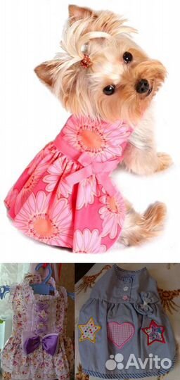Платье для собачки