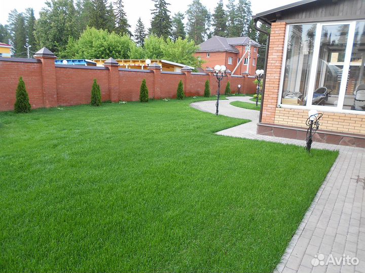 Рулонный газон под ключ
