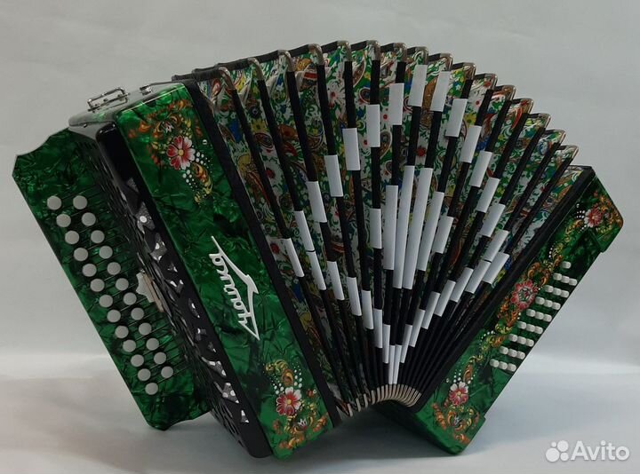 Баянист, гармонист. Юбилей, Праздник, ярко, весело