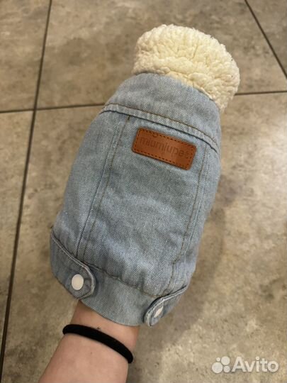 Теплая одежда для собак мелких пород