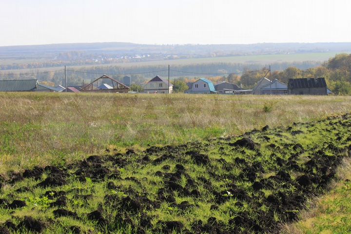 Участок 31 сот. (ИЖС)