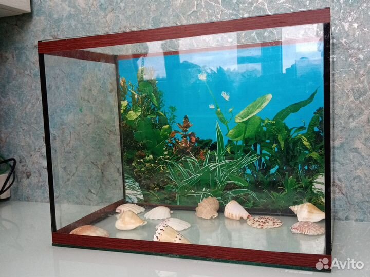 Аквариум