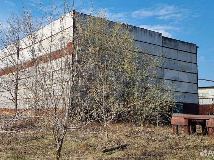 Производство, 1200 м²
