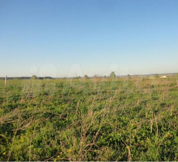 Участок 20 сот. (СНТ, ДНП)