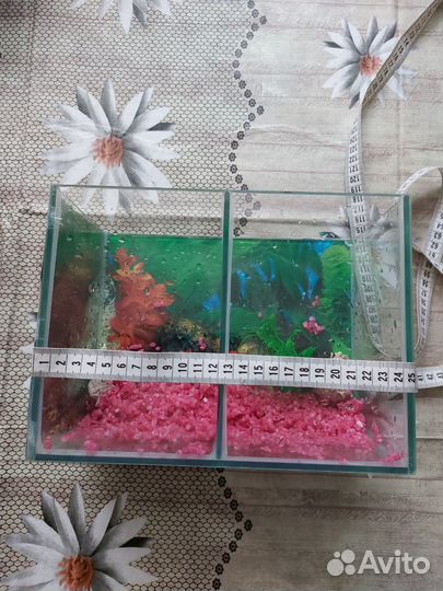 Аквариум для рыбки петушка(2 секции)