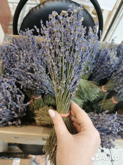 Лаванда букет