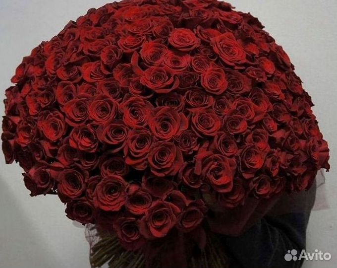 Розы Цветы Букеты 25 151 201 101 301 501 опт