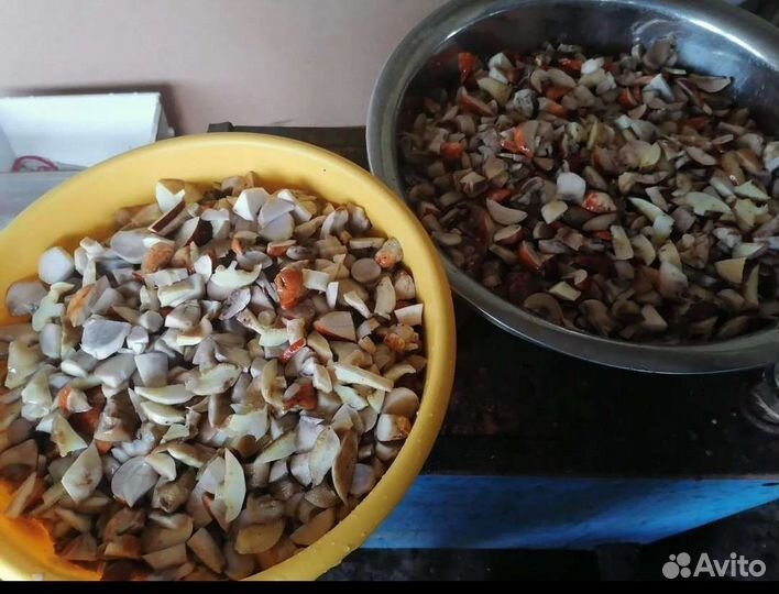 Грибы свежие