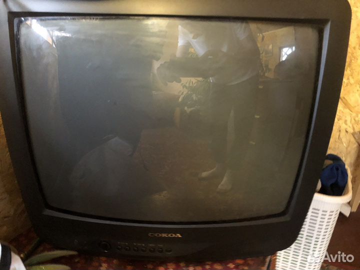 Телевизор сокол