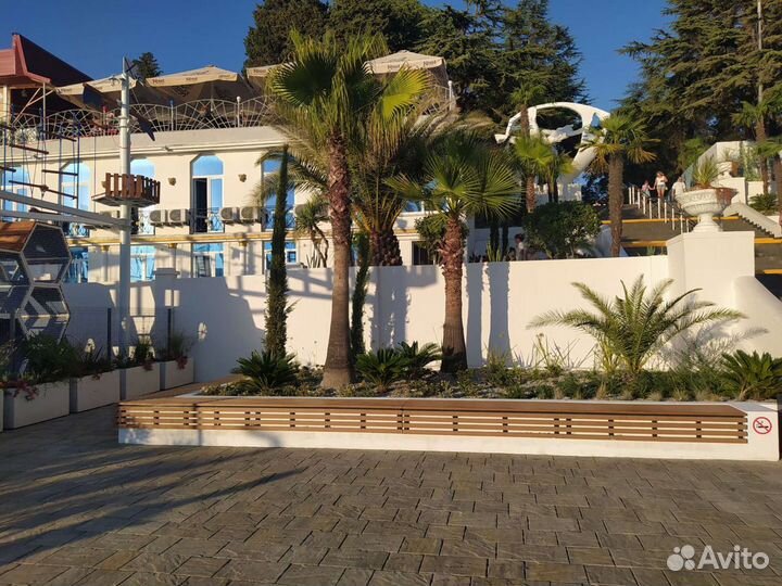 Вашингтония Семена опт