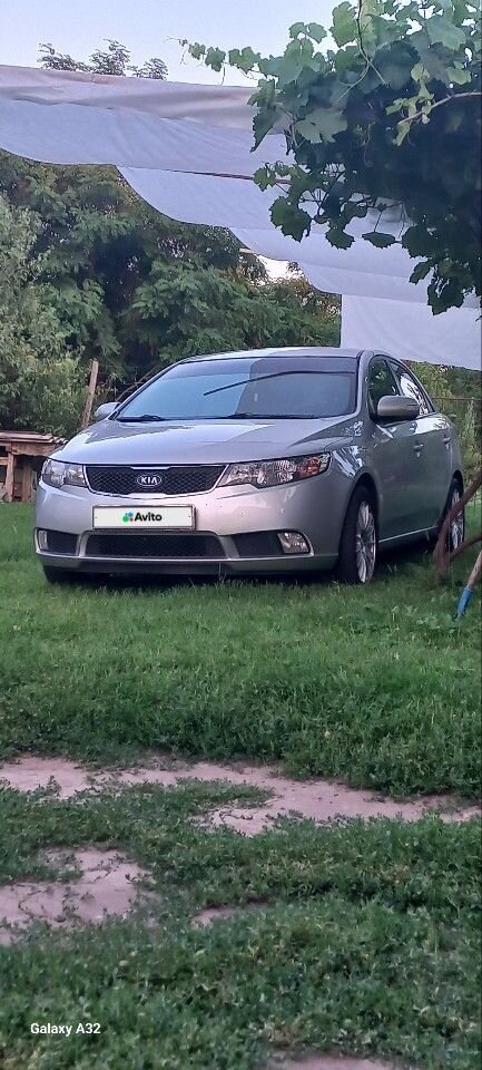 Kia Cerato: фото владельца