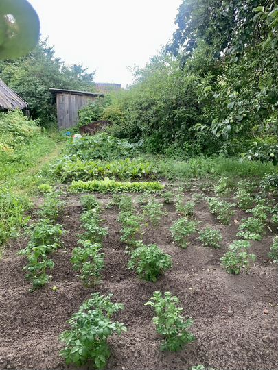 Дом 48,3 м² на участке 11,5 сот.