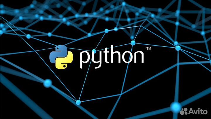 Решение задач по программированию python