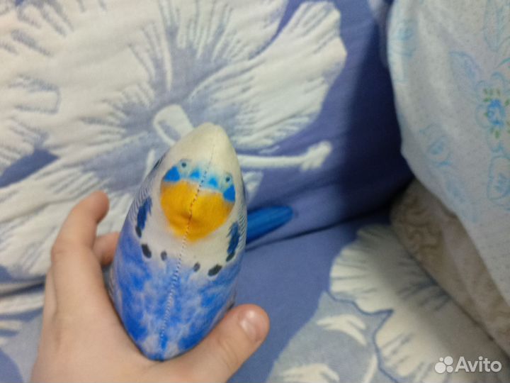 Голубь, попугай