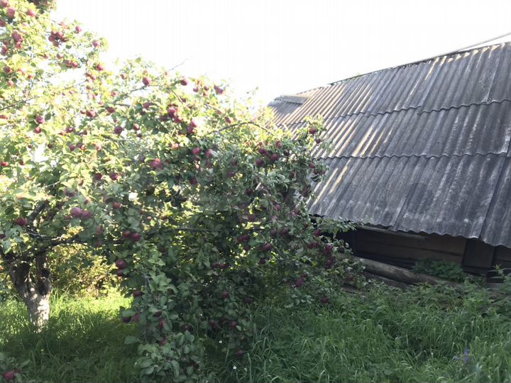 Участок 9 сот. (ИЖС)