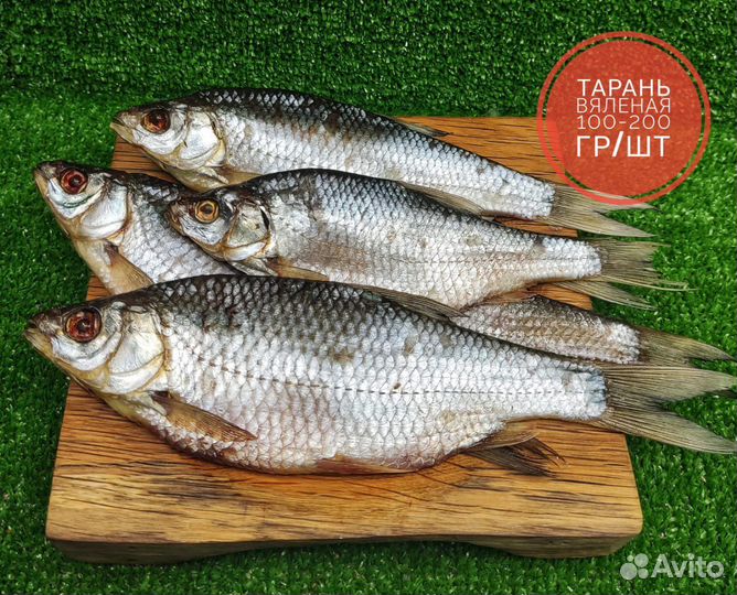 Вяленая рыба (опт/розница)