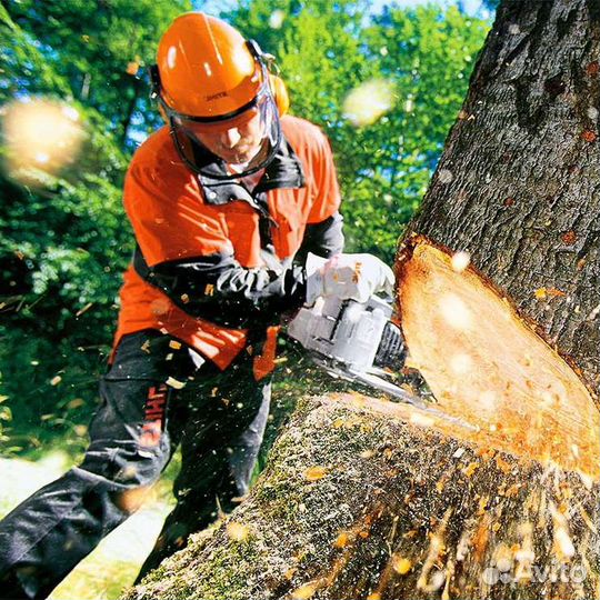 Расчистка участка от деревьев и кустарников