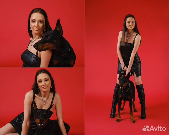 Фотосессия с доберманом