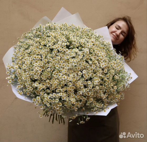 Ромашки цветы доставка букеты