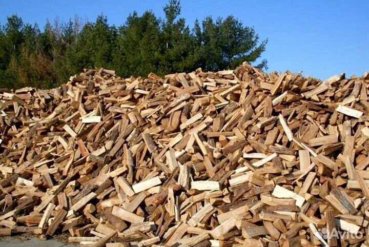 Дрова в Сертолово