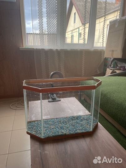 Аквариум