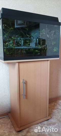Аквариум 60л Juwel Rekord 600 с тумбой