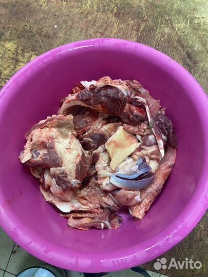 Натуральный корм доя животных говядина