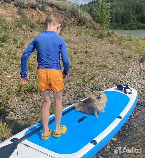 Сап борд аренда