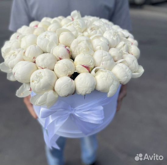 Пионы букеты из пионов