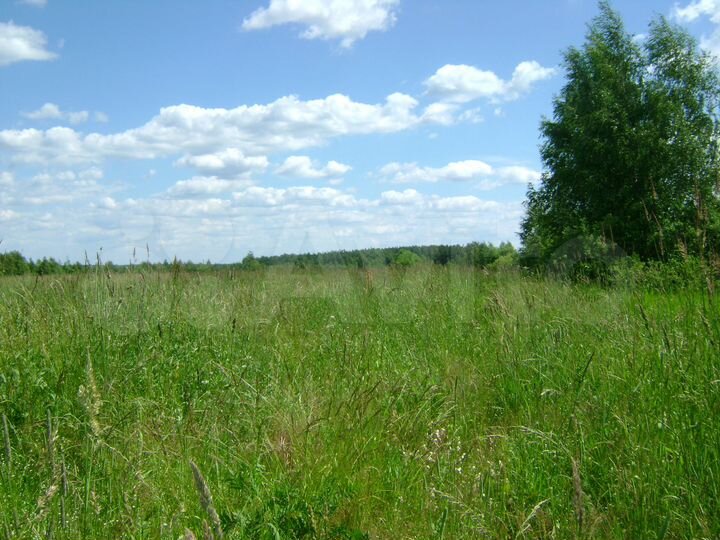 Участок 3,39 га (СНТ, ДНП)