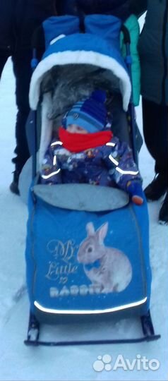 Санки коляска