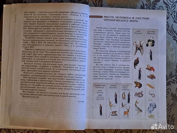 Биология 8 класс