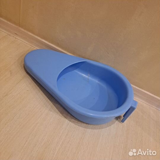 Утка медицинская