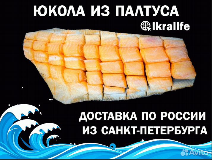 Рыба Юкола Палтуса Для магазинов малым оптом. Сдэк