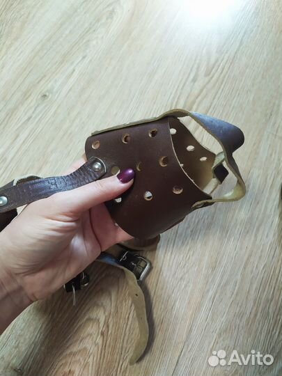 Намордник и ошейник