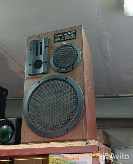 Колонки Электроника 25 ас 227