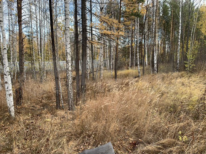 Участок 10 сот. (СНТ, ДНП)