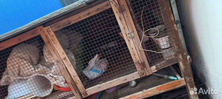 Клетка для птиц